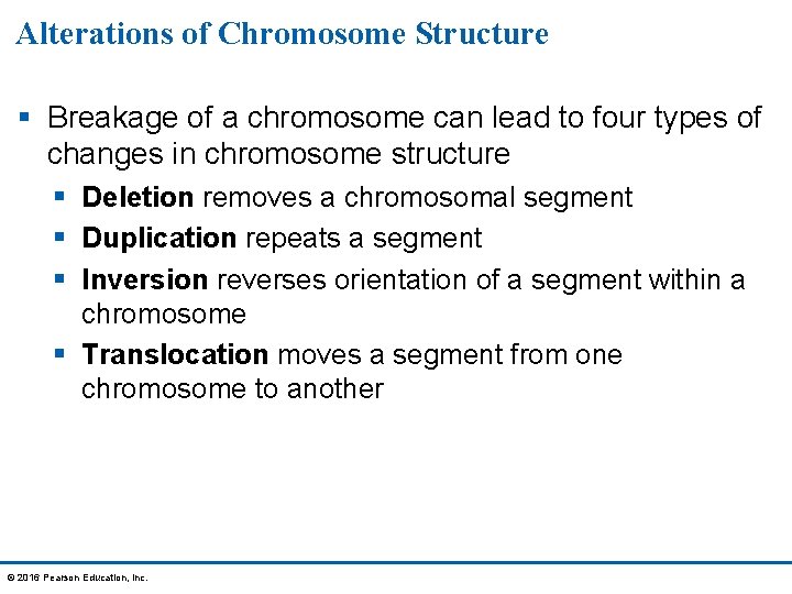 Alterations of Chromosome Structure § Breakage of a chromosome can lead to four types