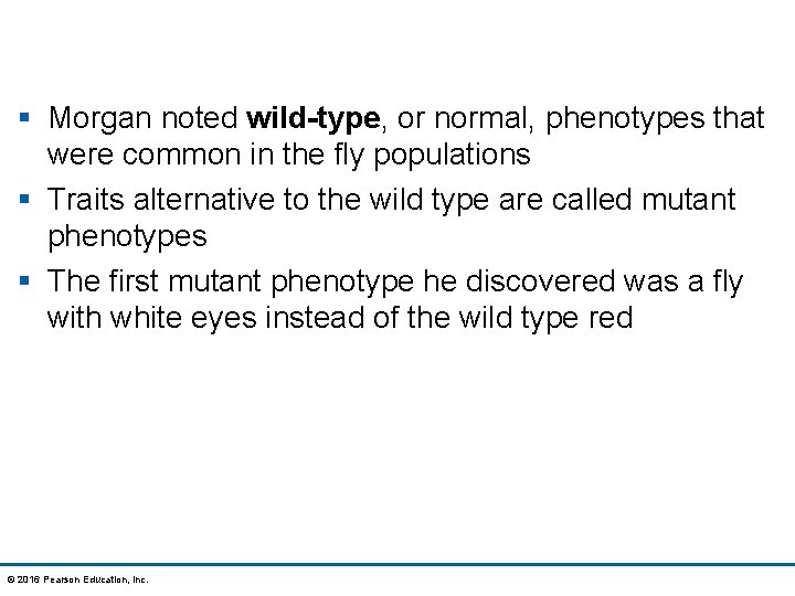 § Morgan noted wild-type, or normal, phenotypes that were common in the fly populations