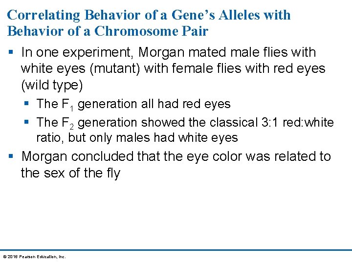 Correlating Behavior of a Gene’s Alleles with Behavior of a Chromosome Pair § In