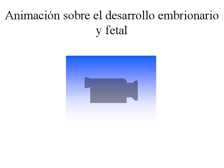 Animación sobre el desarrollo embrionario y fetal 