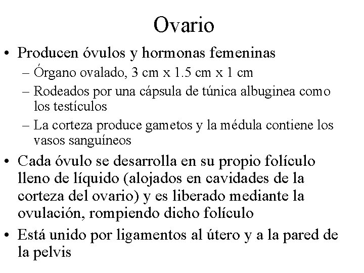 Ovario • Producen óvulos y hormonas femeninas – Órgano ovalado, 3 cm x 1.