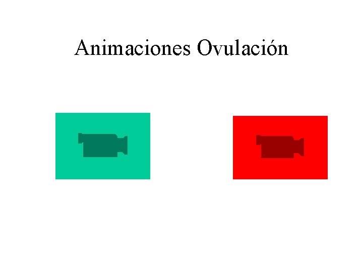 Animaciones Ovulación 