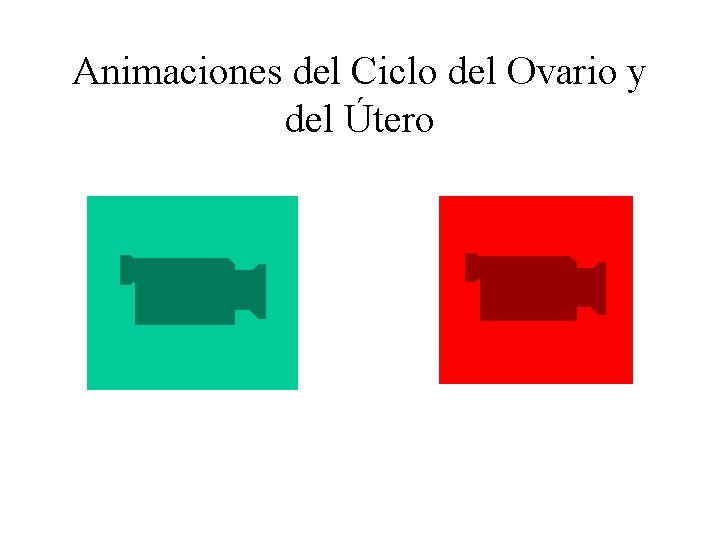 Animaciones del Ciclo del Ovario y del Útero 