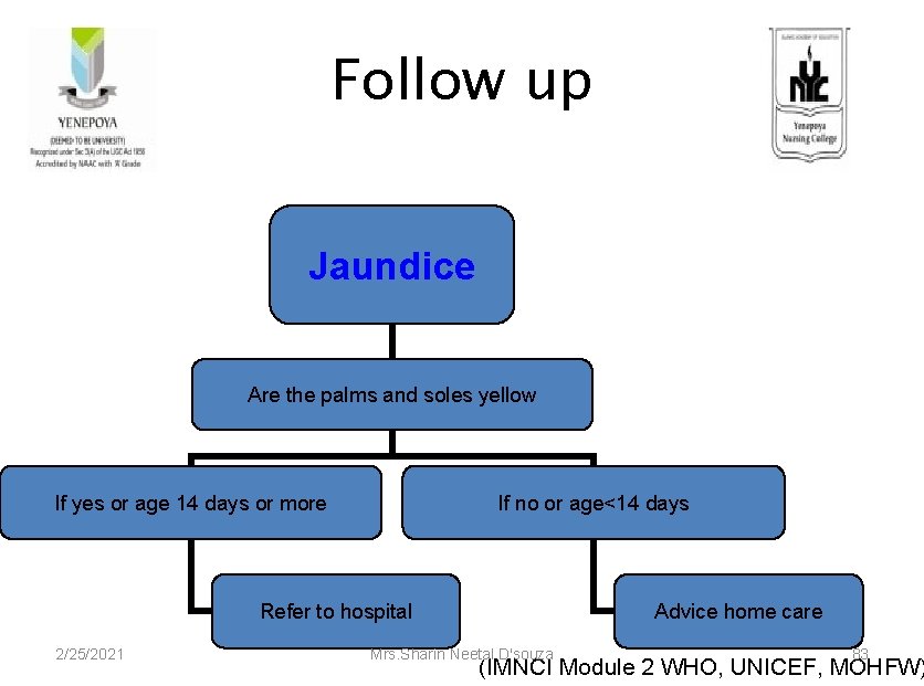 Follow up Jaundice Are the palms and soles yellow If yes or age 14