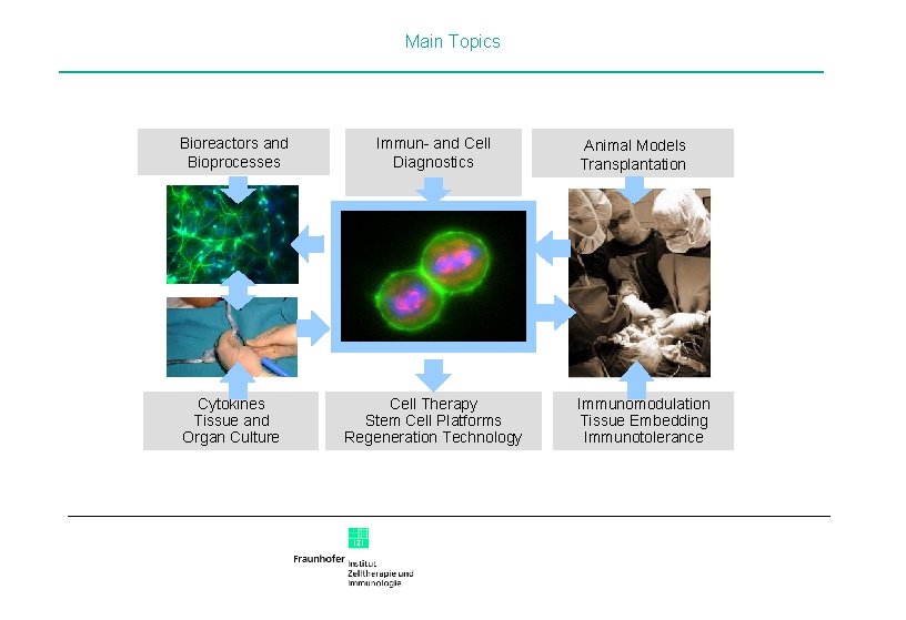 Main Topics Bioreactors and Bioprocesses Immun- and Cell Diagnostics Animal Models Transplantation Zelle Abb.