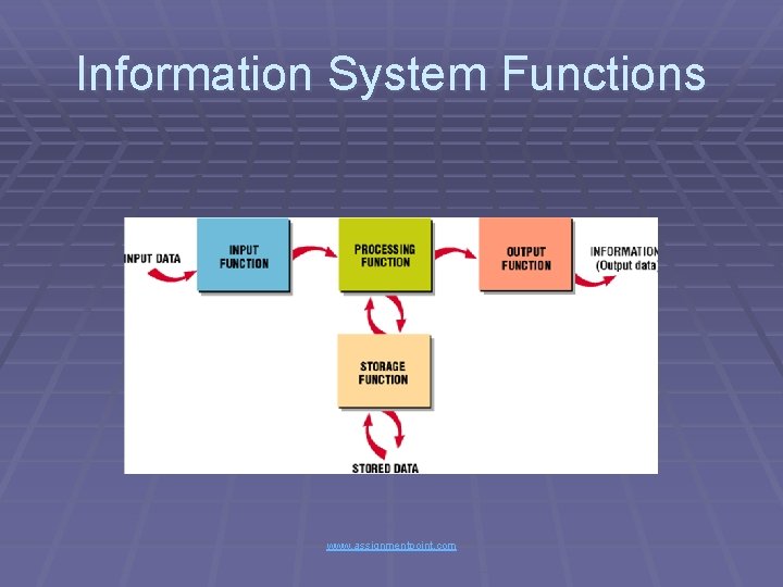 Information System Functions www. assignmentpoint. com 