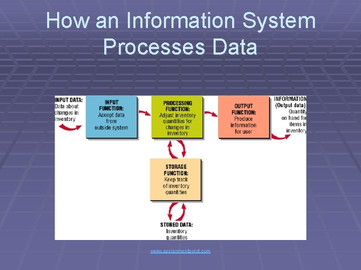 How an Information System Processes Data www. assignmentpoint. com 