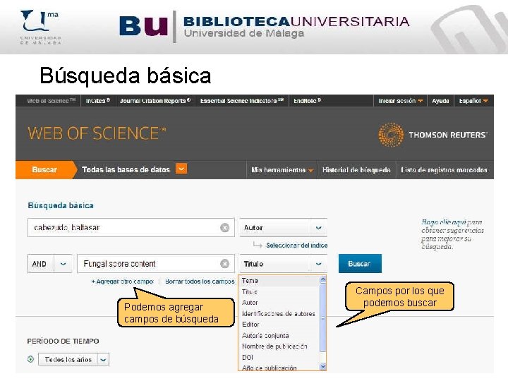 Búsqueda básica Podemos agregar campos de búsqueda Campos por los que podemos buscar 