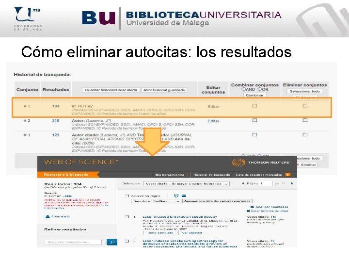Cómo eliminar autocitas: los resultados 