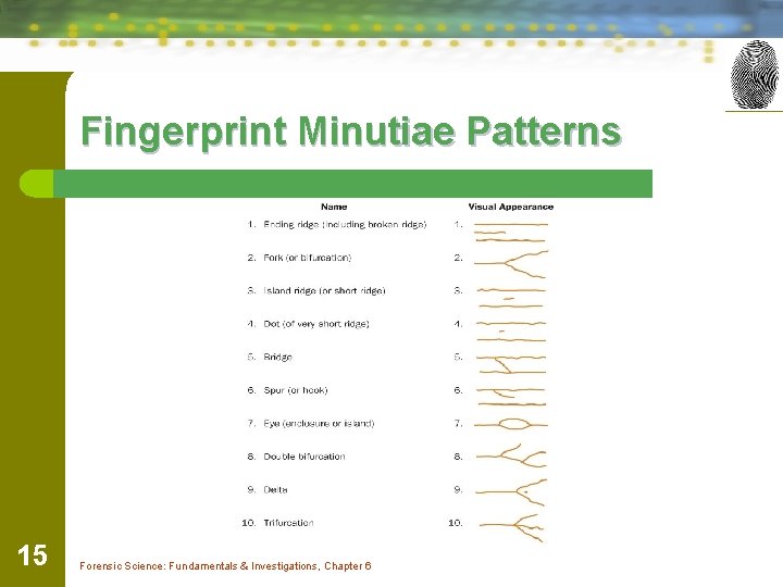 Fingerprint Minutiae Patterns 15 Forensic Science: Fundamentals & Investigations, Chapter 6 