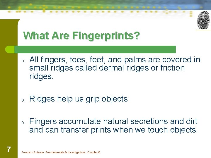 What Are Fingerprints? o o o 7 All fingers, toes, feet, and palms are