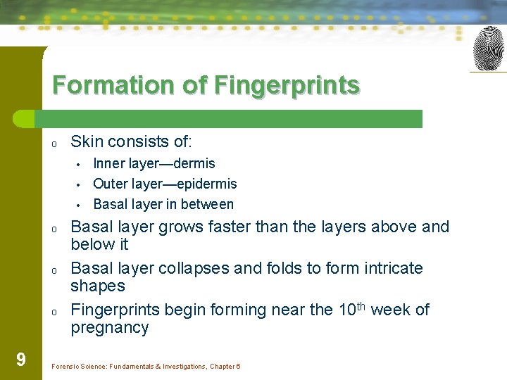 Formation of Fingerprints o Skin consists of: • • • o o o 9