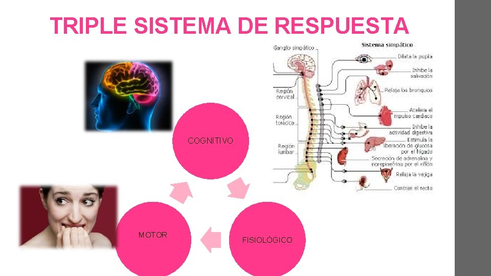 TRIPLE SISTEMA DE RESPUESTA COGNITIVO MOTOR FISIOLÓGICO 