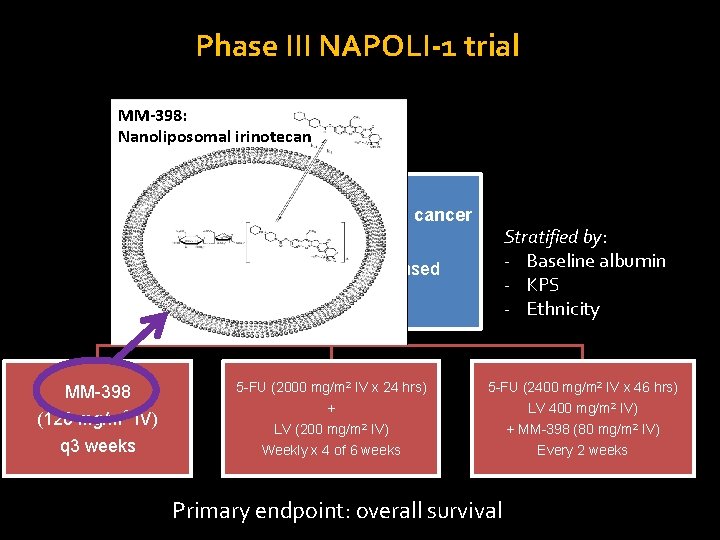 Phase III NAPOLI-1 trial MM-398: Nanoliposomal irinotecan Metastatic pancreatic cancer Stratified by: - Baseline