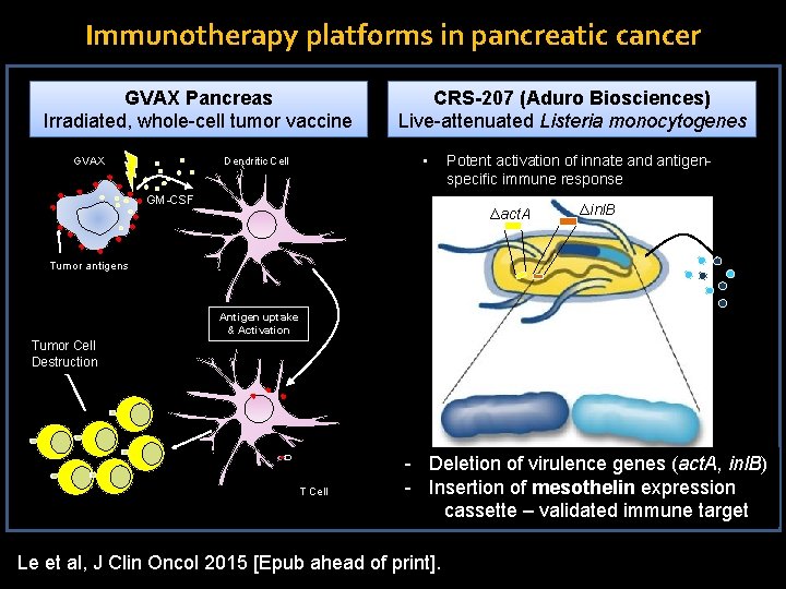 Immunotherapy platforms in pancreatic cancer GVAX Pancreas Irradiated, whole-cell tumor vaccine GVAX CRS-207 (Aduro
