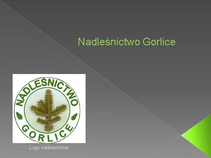 Nadleśnictwo Gorlice Logo nadleśnictwa 