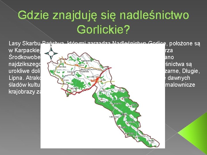 Gdzie znajduję się nadleśnictwo Gorlickie? Lasy Skarbu Państwa, którymi zarządza Nadleśnictwo Gorlice, położone są