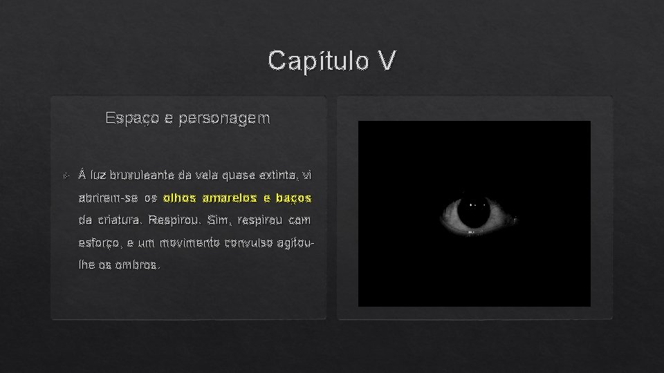 Capítulo V Espaço e personagem À luz bruxuleante da vela quase extinta, vi abrirem-se