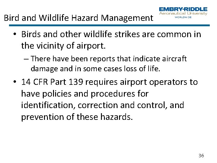 Bird and Wildlife Hazard Management • Birds and other wildlife strikes are common in Bird and Wildlife Hazard Management • Birds and other wildlife strikes are common in