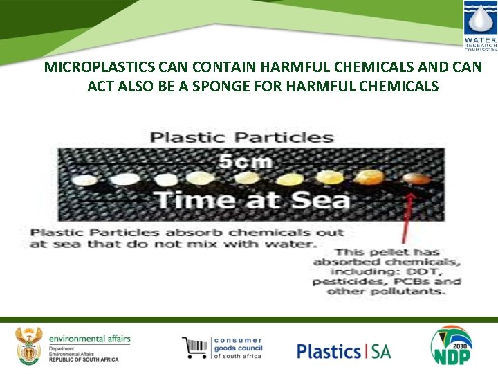 MICROPLASTICS CAN CONTAIN HARMFUL CHEMICALS AND CAN ACT ALSO BE A SPONGE FOR HARMFUL