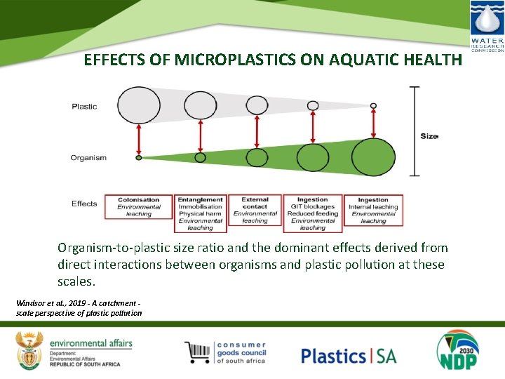 EFFECTS OF MICROPLASTICS ON AQUATIC HEALTH Organism‐to‐plastic size ratio and the dominant effects derived