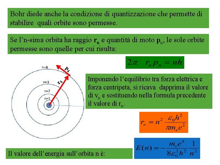 Bohr diede anche la condizione di quantizzazione che permette di stabilire quali orbite sono
