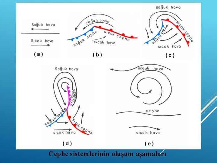 Cephe sistemlerinin oluşum aşamaları 