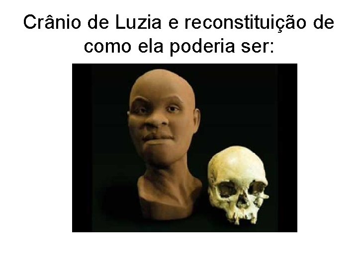 Crânio de Luzia e reconstituição de como ela poderia ser: 