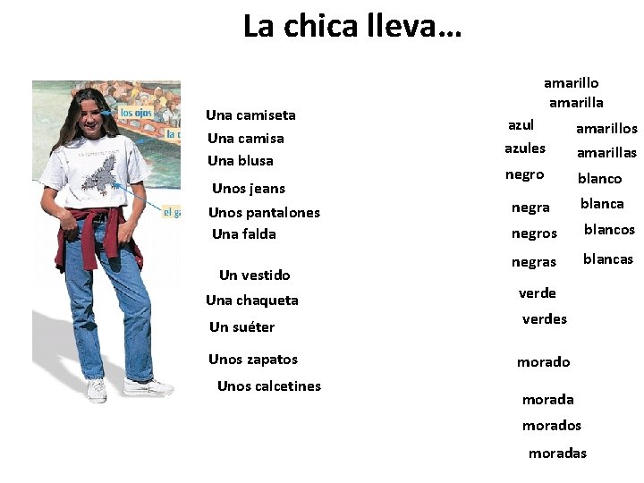 La chica lleva… Una camiseta Una camisa Una blusa Unos jeans Unos pantalones Una