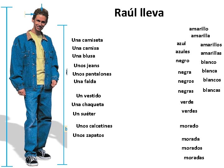 Raúl lleva Una camiseta Una camisa Una blusa Unos jeans Unos pantalones Una falda