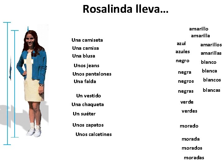 Rosalinda lleva… Una camiseta Una camisa Una blusa Unos jeans Unos pantalones Una falda