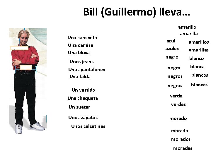 Bill (Guillermo) lleva… Una camiseta Una camisa Una blusa Unos jeans Unos pantalones Una