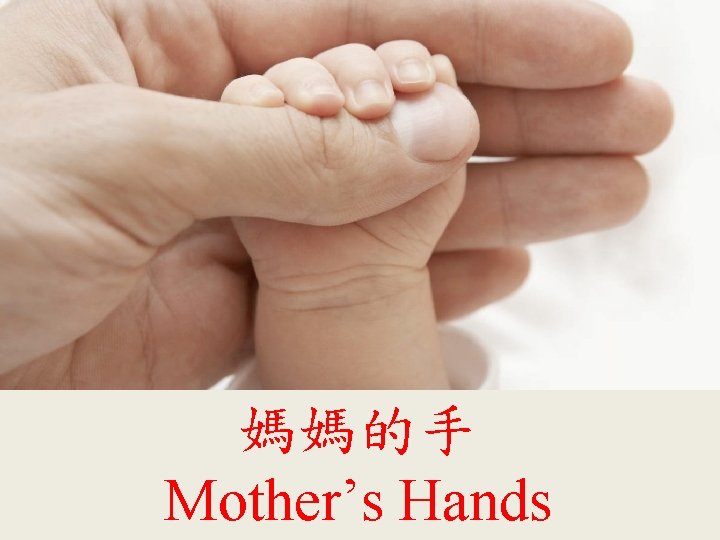 媽媽的手 Mother’s Hands 