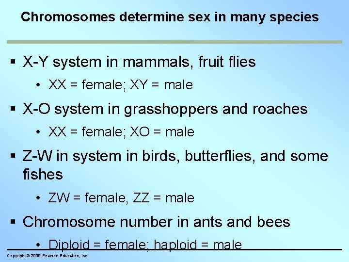 Chromosomes determine sex in many species X-Y system in mammals, fruit flies • XX