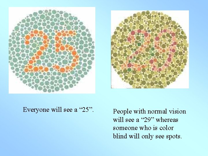 Everyone will see a “ 25”. People with normal vision will see a “