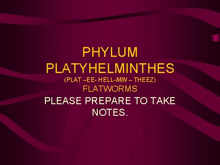 PHYLUM PLATYHELMINTHES (PLAT –EE- HELL-MIN – THEEZ) FLATWORMS PLEASE PREPARE TO TAKE NOTES. 