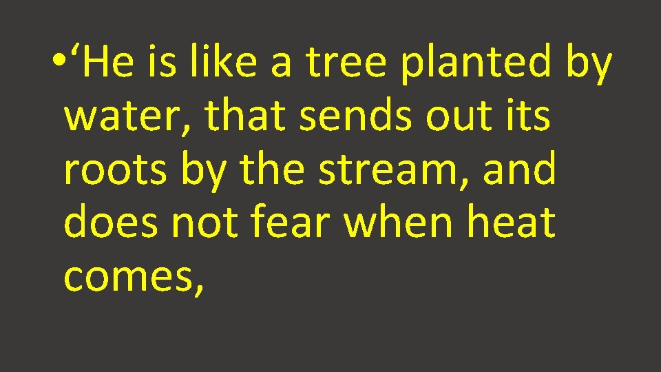  • ‘He is like a tree planted by water, that sends out its