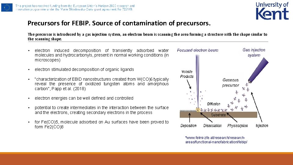 Precursors for FEBIP. Source of contamination of precursors. The precursor is introduced by a