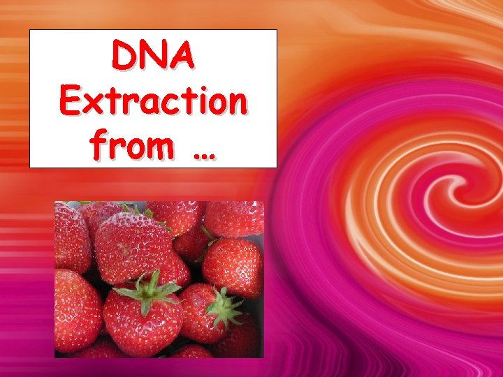 DNA Extraction from … 