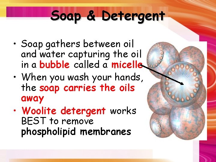 Soap & Detergent • Soap gathers between oil and water capturing the oil in