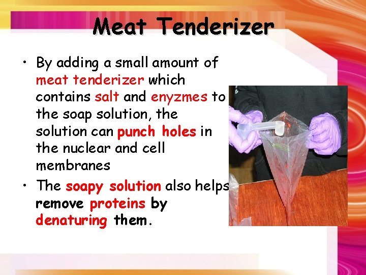 Meat Tenderizer • By adding a small amount of meat tenderizer which contains salt