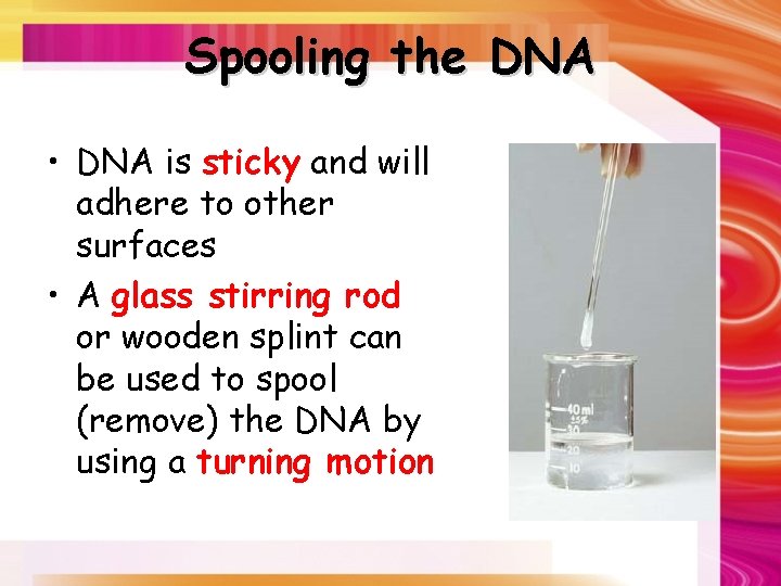 Spooling the DNA • DNA is sticky and will adhere to other surfaces •