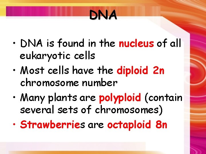 DNA • DNA is found in the nucleus of all eukaryotic cells • Most