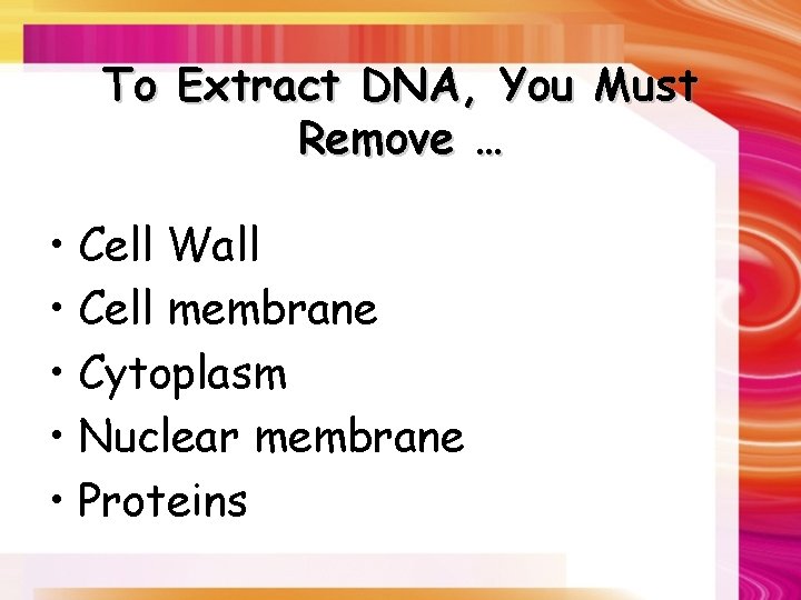 To Extract DNA, You Must Remove … • Cell Wall • Cell membrane •