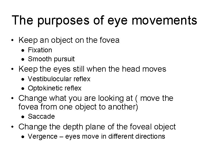 The purposes of eye movements • Keep an object on the fovea · Fixation