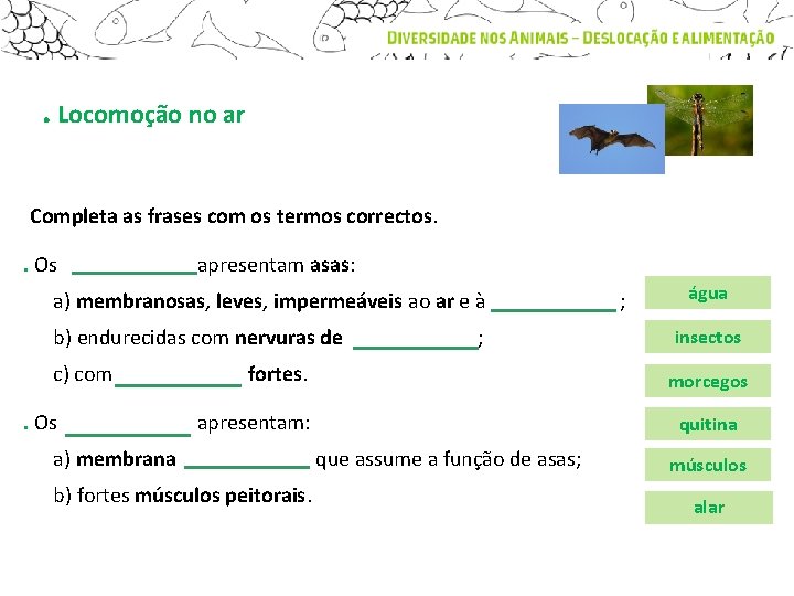 . Locomoção no ar Completa as frases com os termos correctos. . Os apresentam