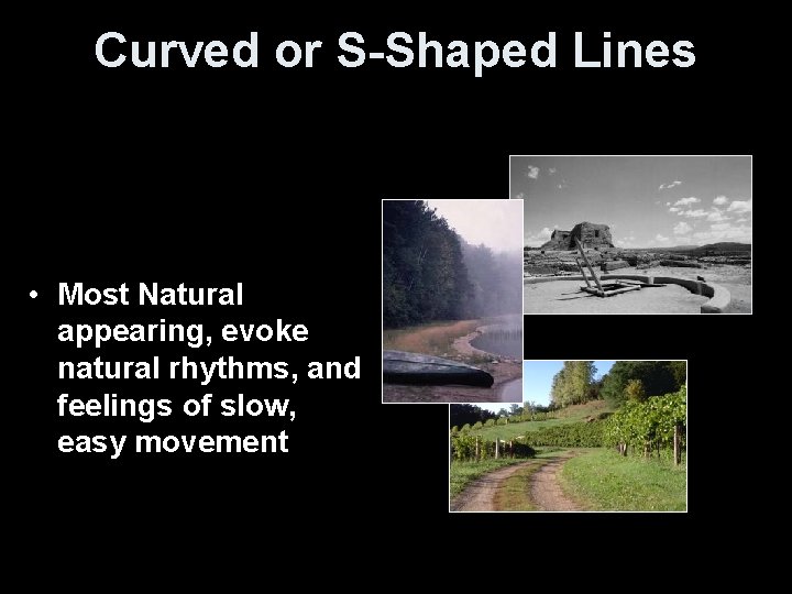 Curved or S-Shaped Lines • Most Natural appearing, evoke natural rhythms, and feelings of