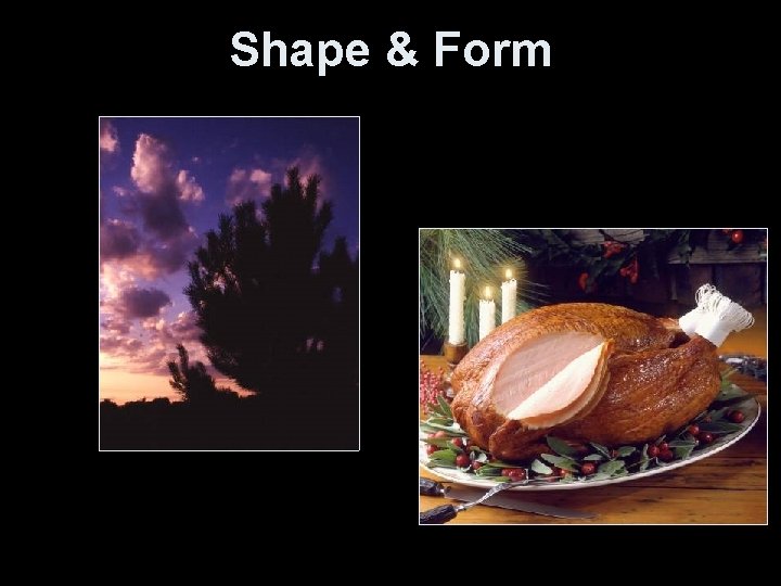 Shape & Form 