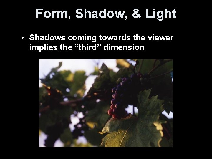 Form, Shadow, & Light • Shadows coming towards the viewer implies the “third” dimension