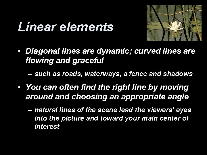 Linear elements • Diagonal lines are dynamic; curved lines are flowing and graceful –